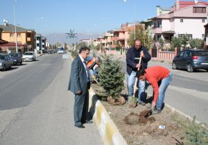 2011 e yeşil hazırlık